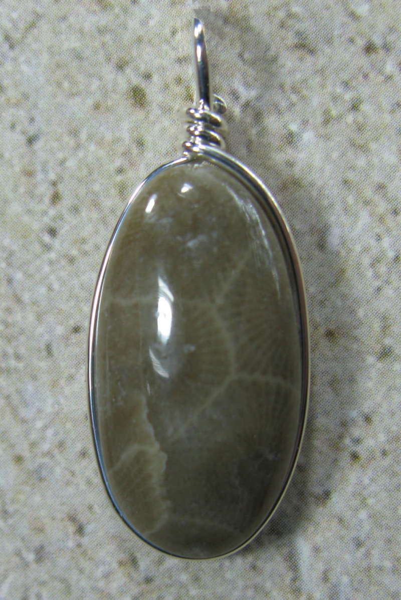 Petoskey Stone Pendant in Silver